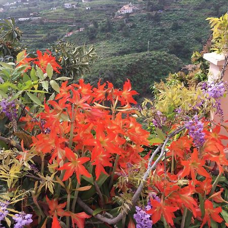 Casa Ayane Villa Santa Cruz de la Palma  Dış mekan fotoğraf