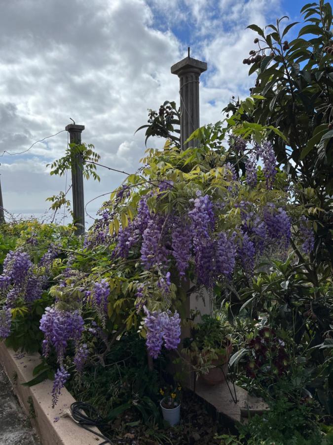 Casa Ayane Villa Santa Cruz de la Palma  Dış mekan fotoğraf